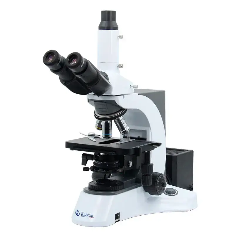 Microscopio Trinocular YR0231: Versatilidad y Precisión en Laboratorios