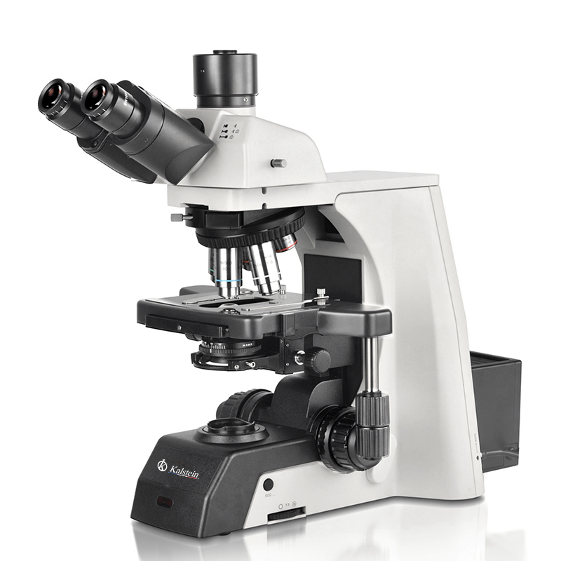 Microscopio Trinocular YR0266A: Rendimiento Técnico y Seguridad