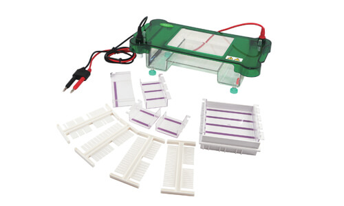 Electroforesis horizontal YR03417