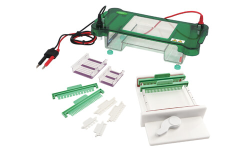 Electroforesis Horizontal YR03419: Criterios de Compra y Validación
