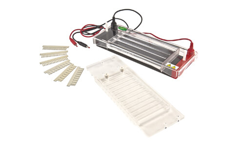 Electroforesis horizontal YR03422