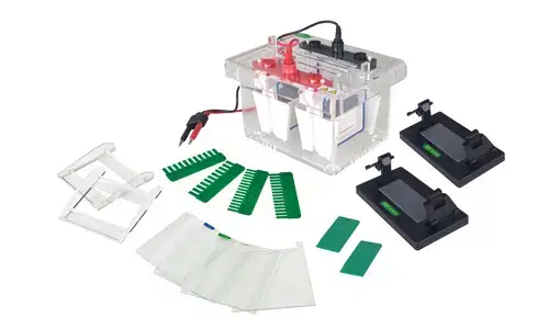 Garantía y vida útil esperada de la celda de electroforesis vertical de miniproteína YR03426