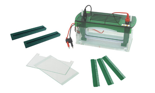 Tanque de electroforesis vertical YR03428