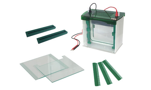 Celda de electroforesis de gel vertical YR03429