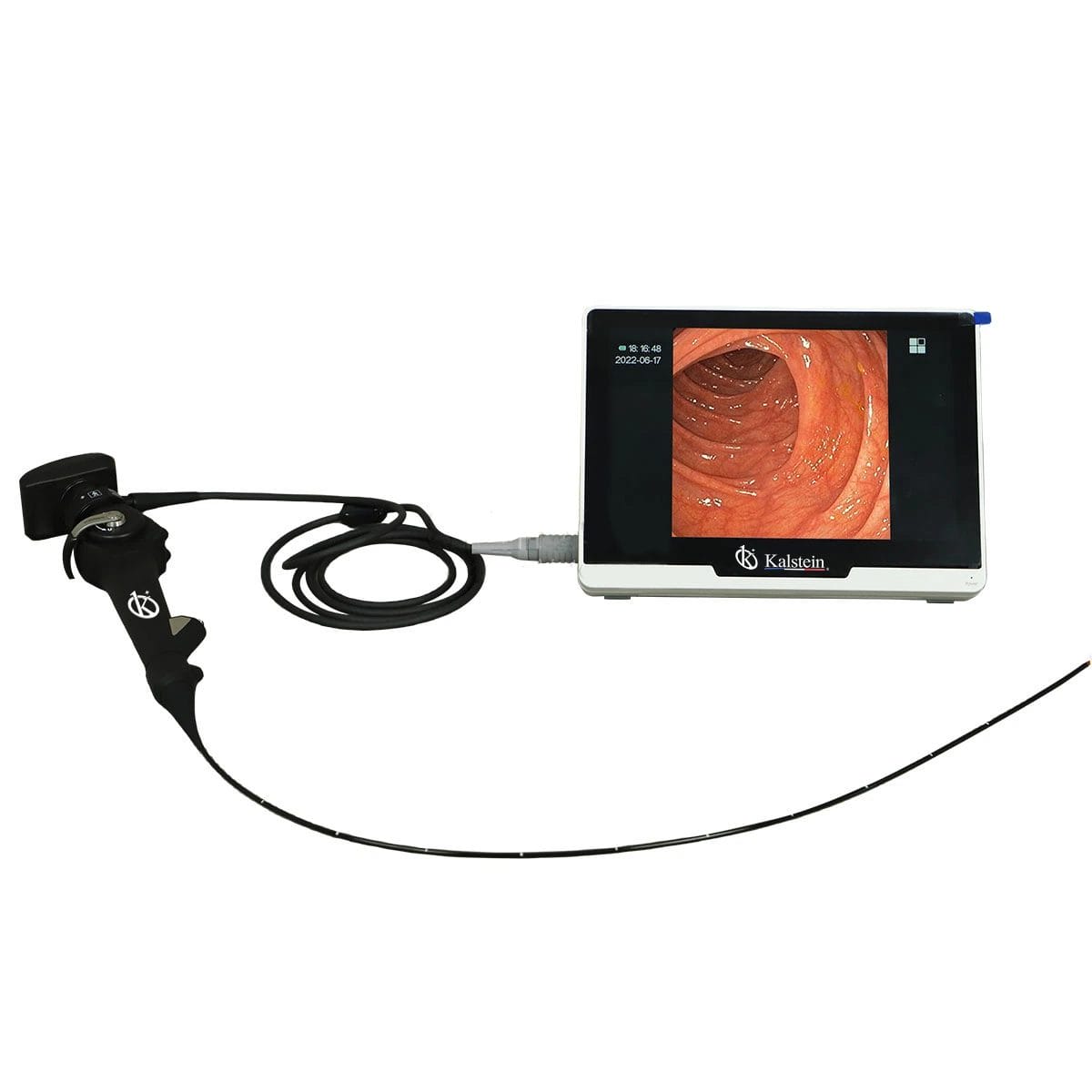 Endoscopio de Vídeo Veterinario Portátil YR06151