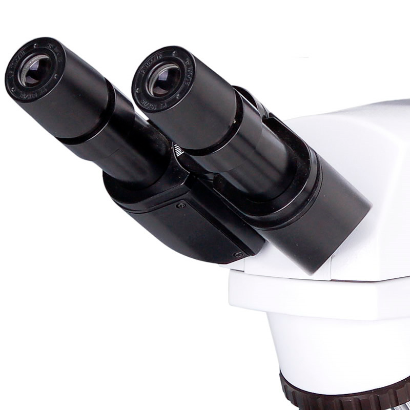 Microscopio de laboratorio YR0237 (3D) – 1