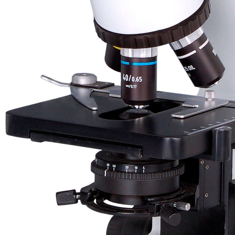 Microscopio de laboratorio YR0237 (3D) – 2