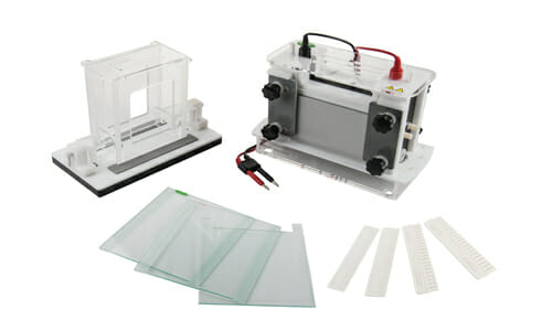 Tanque de Electroforesis Vertical YR03432
