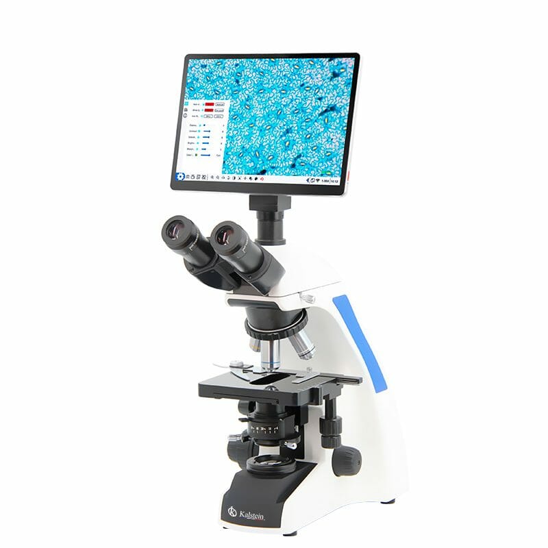 Microscopios Ópticos de Alta Resolución: Precisión para Investigación Científica