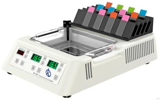 Baño de agua de flotación (baño de agua/secador de portaobjetos) YR457 (3D)