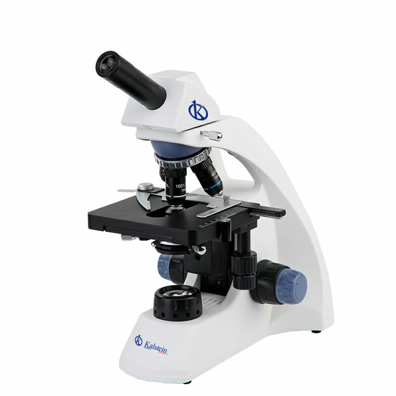 Microscopio Biológico YR0242-M // YR0242-T (3D)