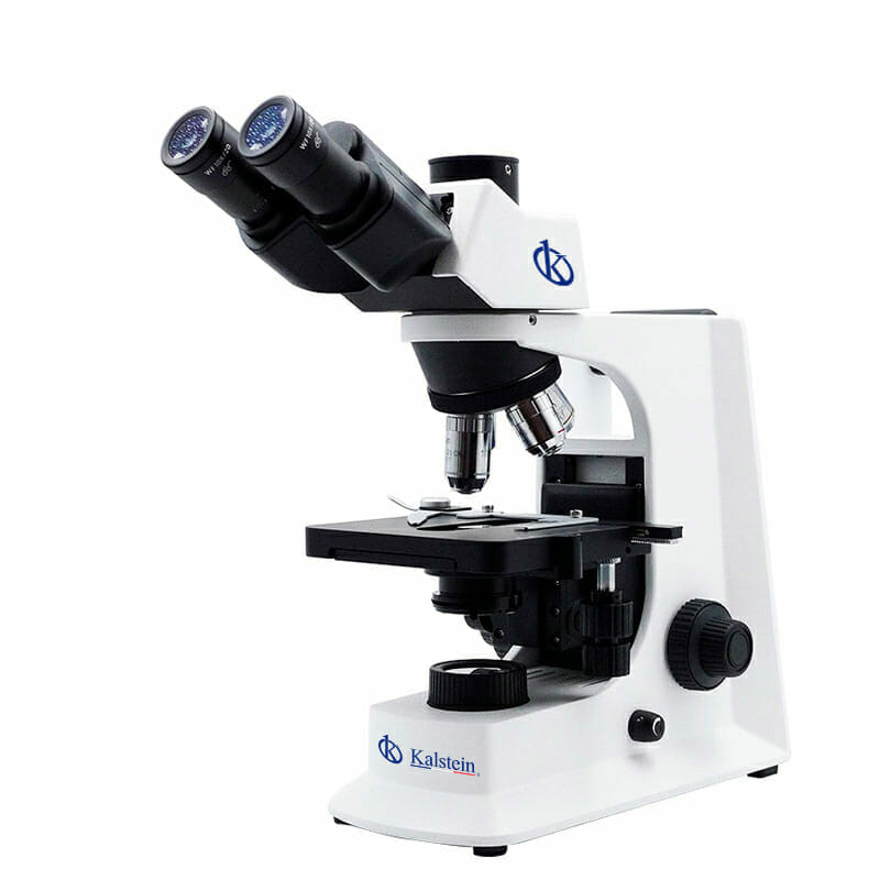 Microscopio Biológico de Laboratorio, Trinocular, Acromático YR05788-AT (3D)
