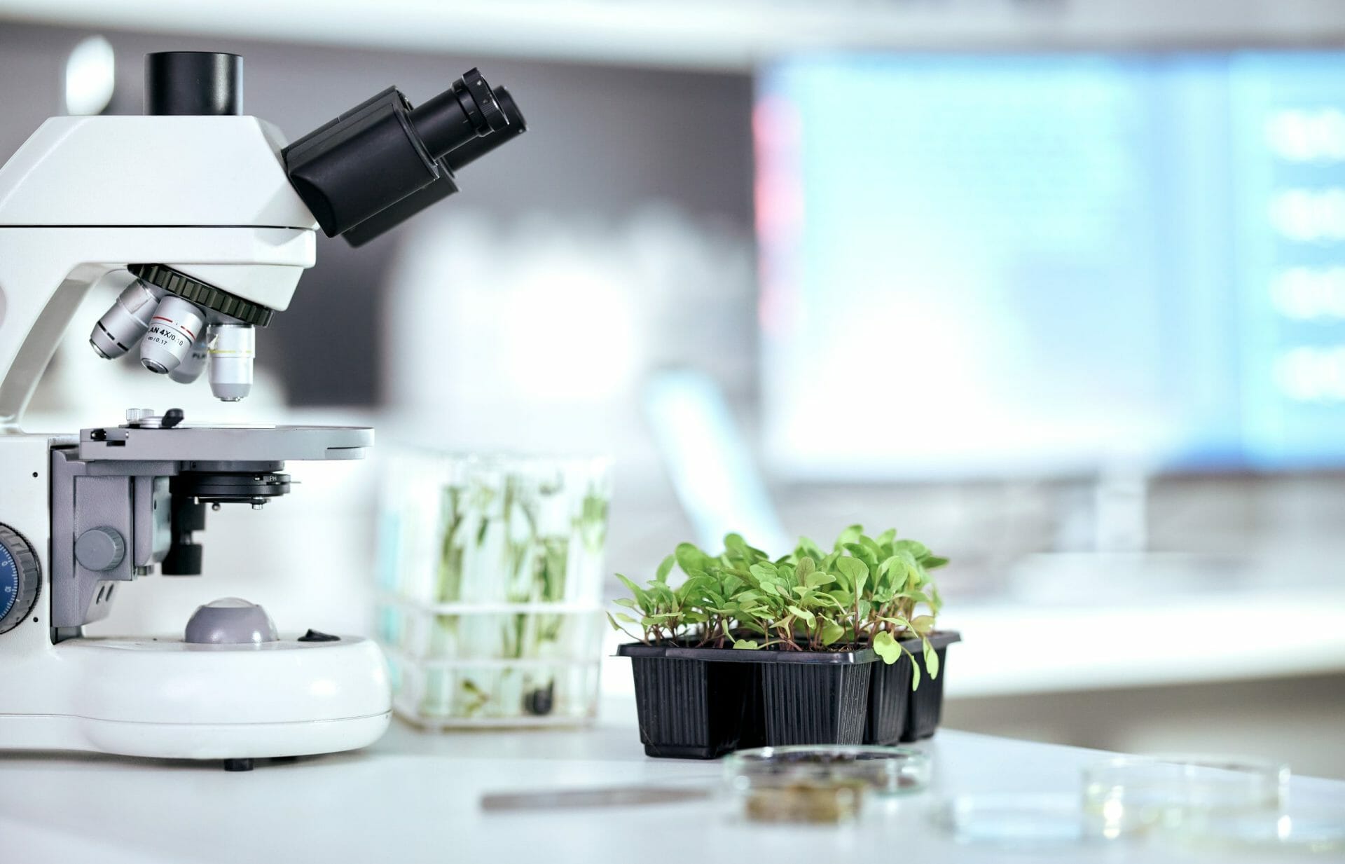 Descubriendo el papel de los laboratorios ambientales en la protección del planeta