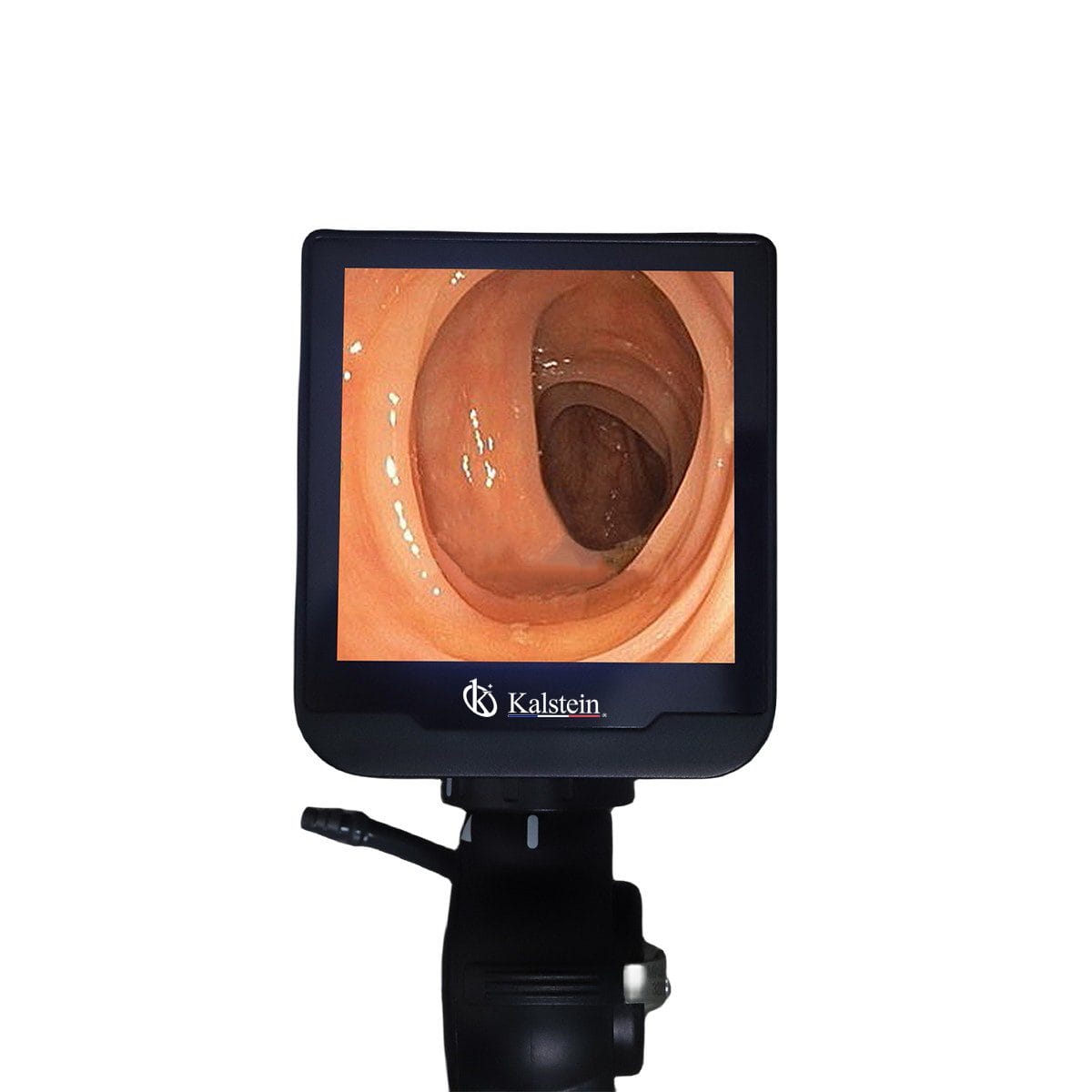 Descubre la Innovación del Endoscopio De Video Veterinario: Avances y Beneficios para la Veterinaria Moderna