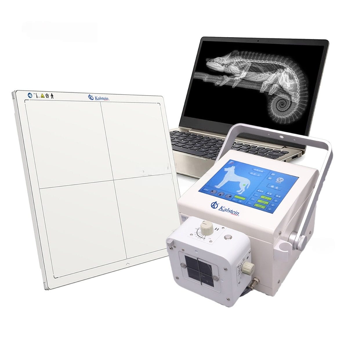 Rayos X Veterinarios: Tecnología Avanzada para el Cuidado Animal