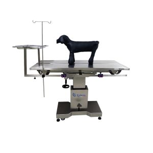 Surge la Revolución en Cirugía Veterinaria: Descubre la Nueva Mesa de Cirugía Equino y su Evolución