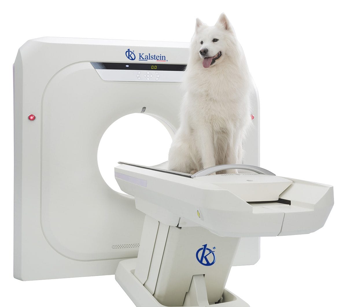Explorando la Innovación: Escaner TC Veterinario para Atenciones Especializadas