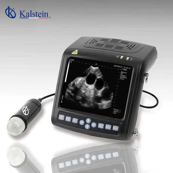 Ultrasonido Veterinario: Innovación y Precisión en el Diagnóstico Animal