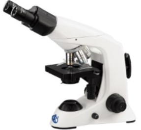 Comparación Científica de Microscopios Binoculares: Kalstein YR06614 vs. Zeiss Primo Star