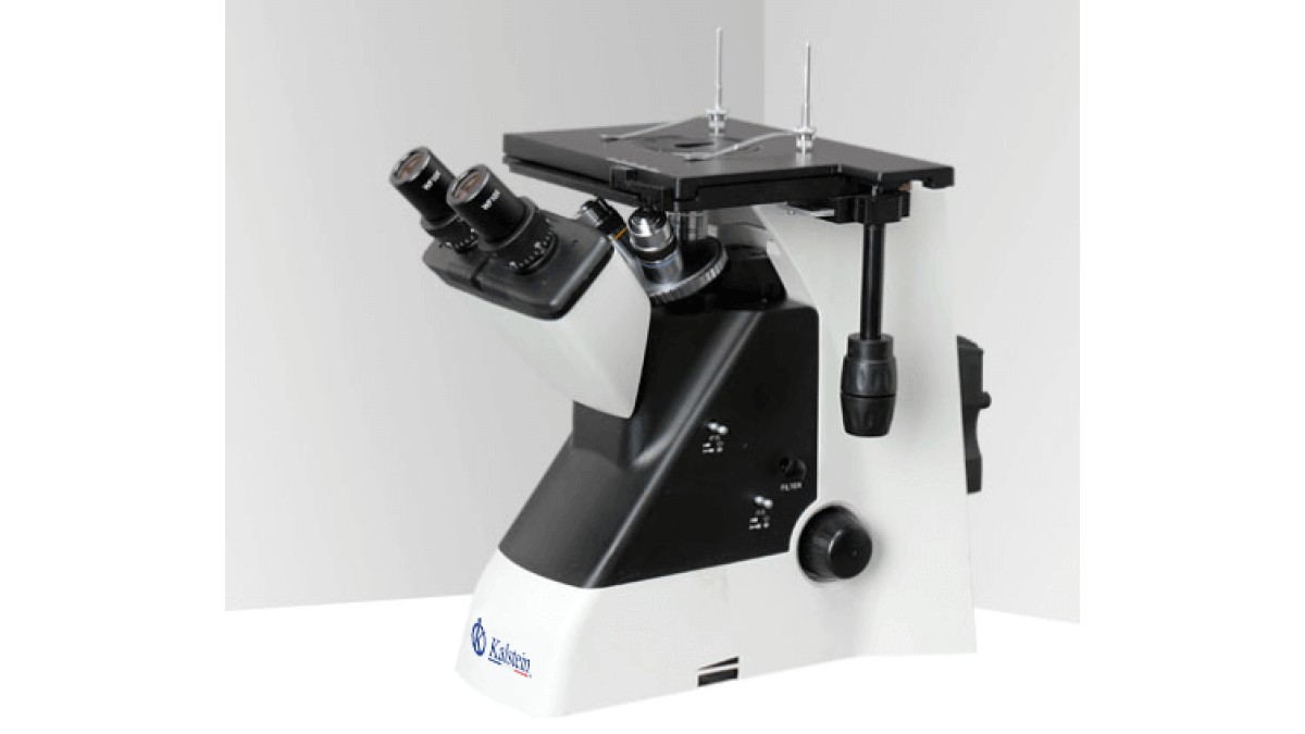 Microscopio Binocular YR0259: Uso Práctico en Laboratorios